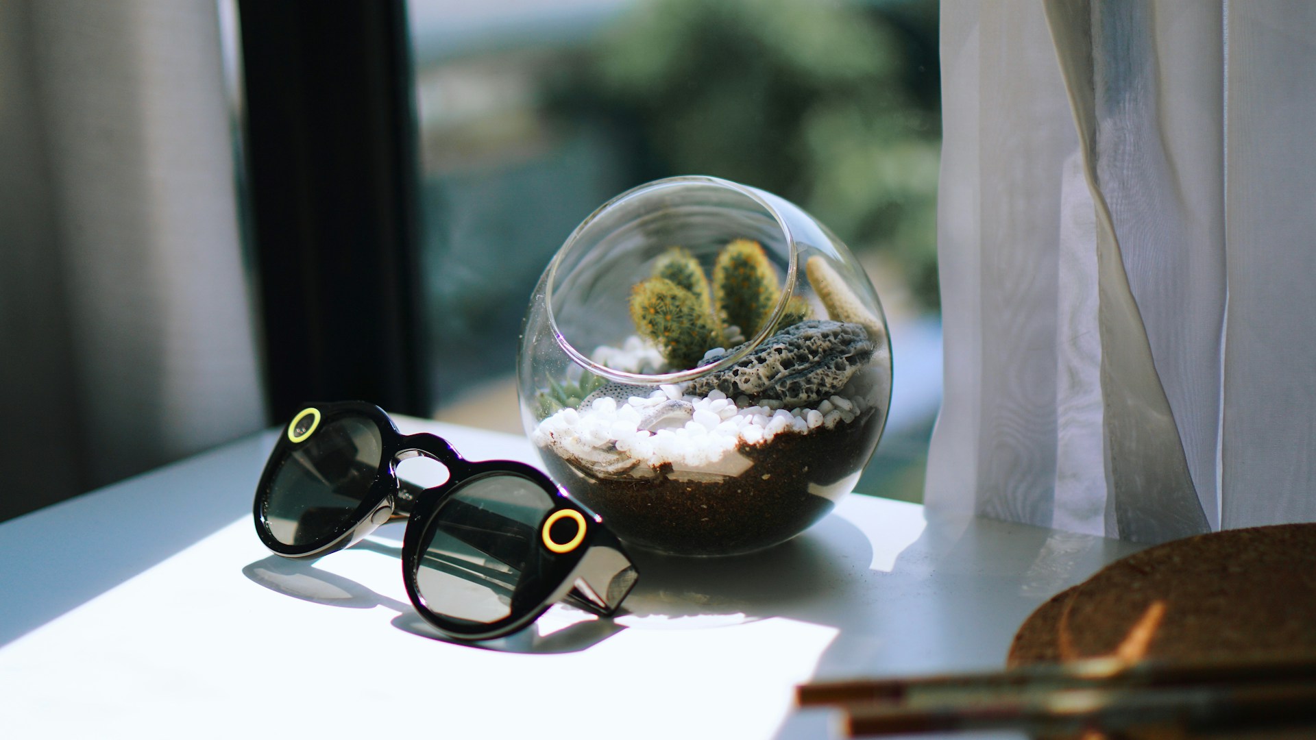 black framed sunglasses near glass bowl with plant on table